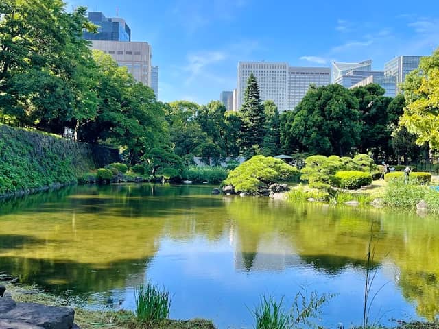 Shinji-ike Pond - Image 1
