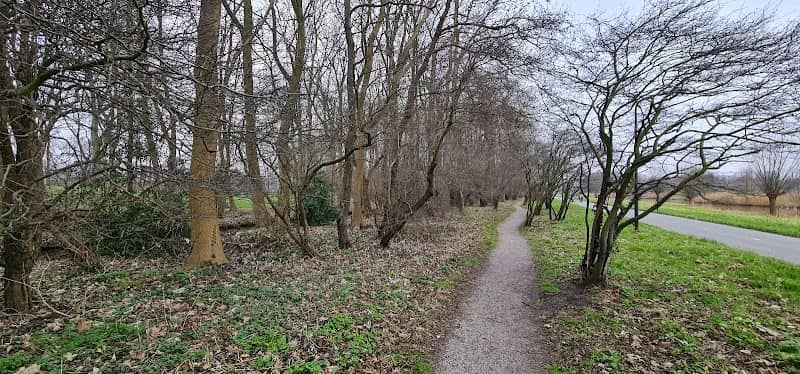 Cooper Track - Image 2