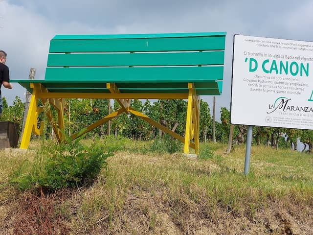 Big Bench #288 - Maranzana - Image 1