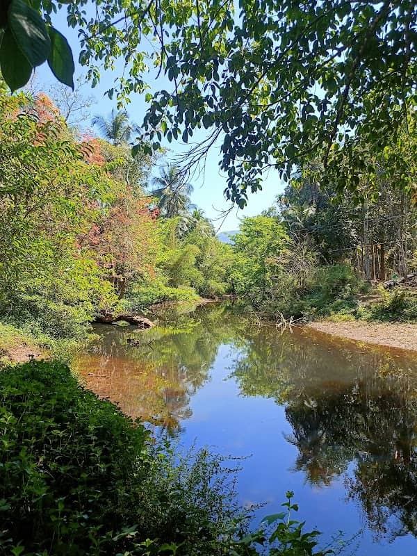 Kannavam River View Point - Image 1