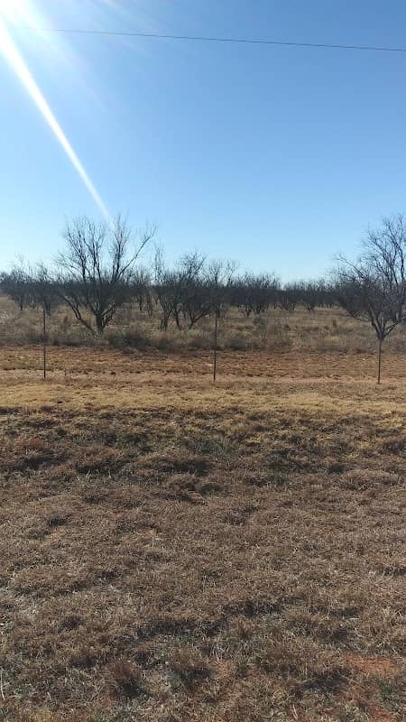 Big Spring, TX - Image 1