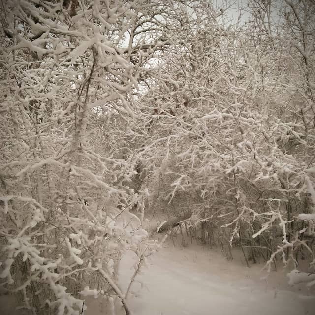 Aurora Alley - Image 2