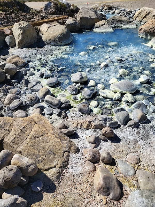 Black Sulphur Spring - Image 3