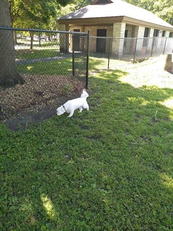 Whitney Park - Image 2