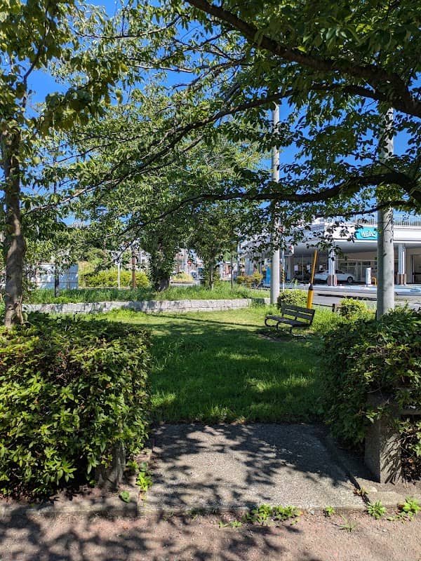 Taura Park - Image 1