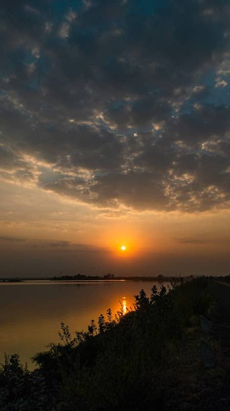 Sarla Kamdar Rotary Park - Image 1