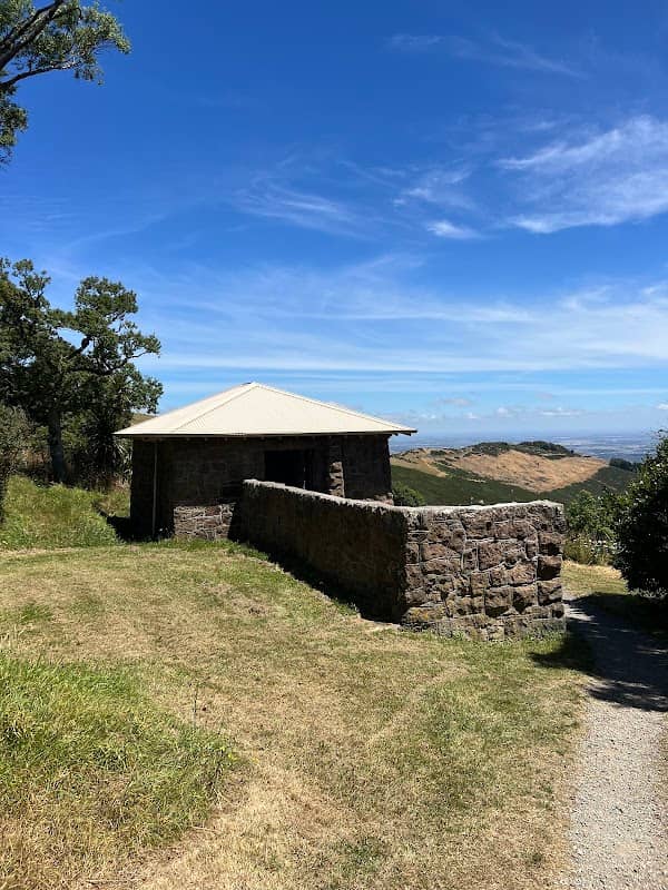 Sign of the Bellbird - Image 2