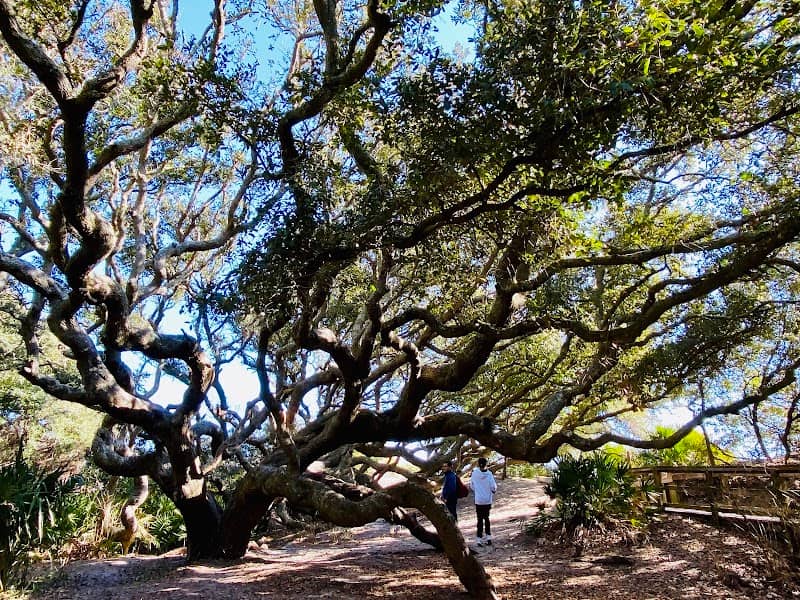 Sea Camp Campground - Image 1