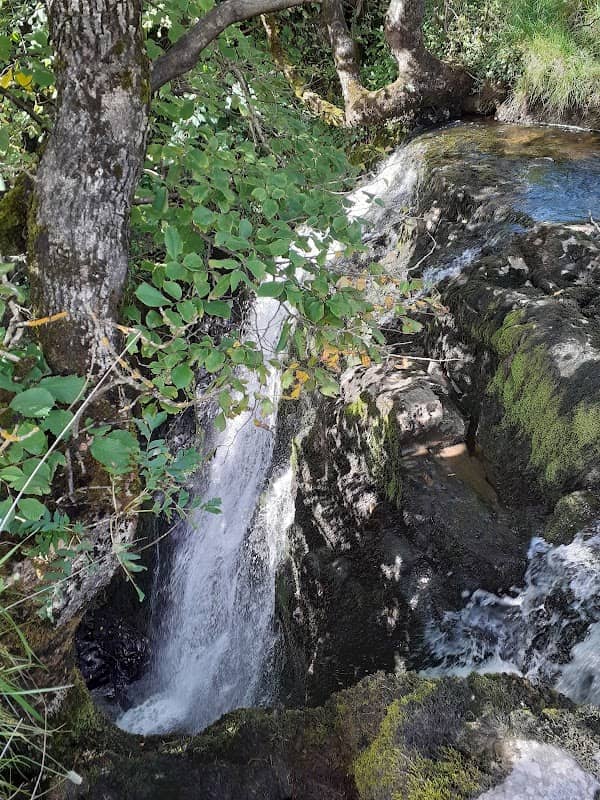 Catrigg Force - Image 2