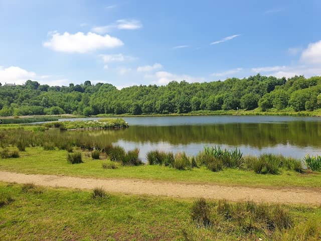 Horton Bank Country Park - Image 1