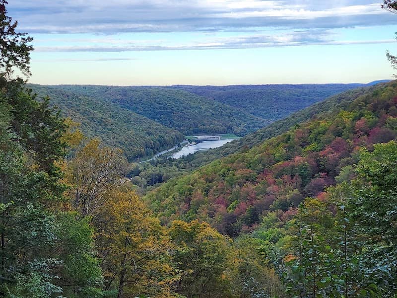 Susquehannock State Forest - Image 3