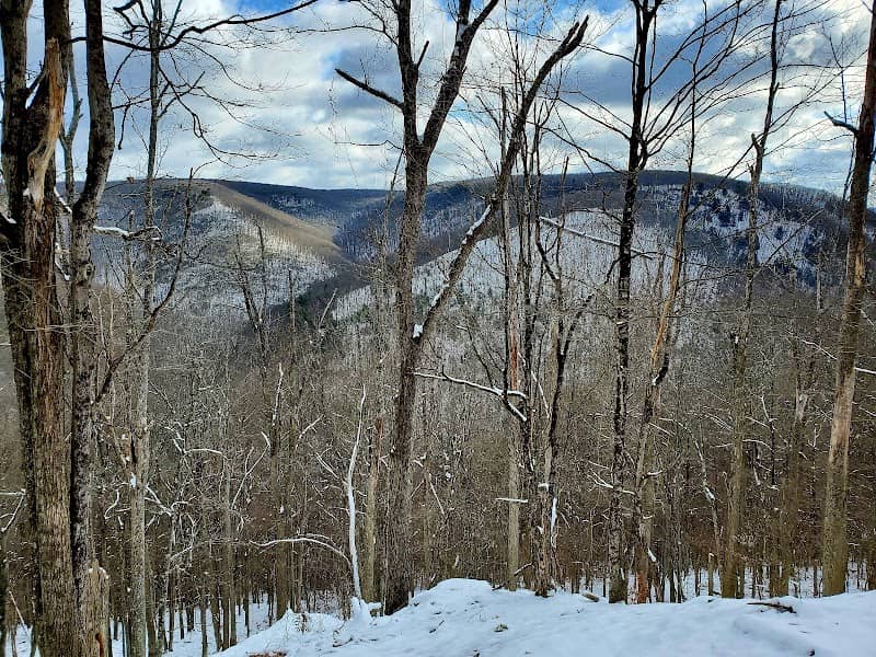 Susquehannock State Forest - Image 1