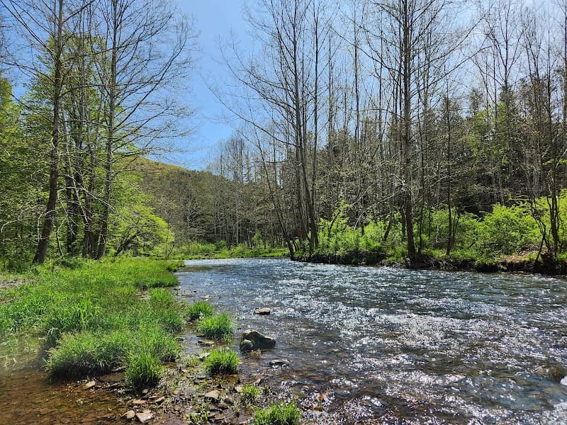 Susquehannock State Forest - Image 2