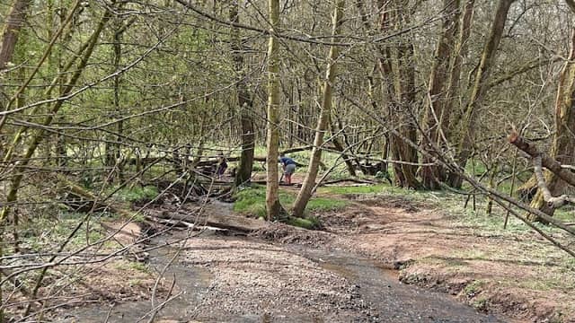 Waterdale nature reserve - Image 1