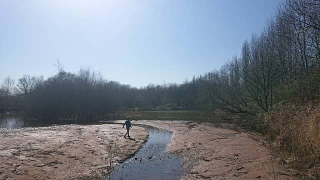 Waterdale nature reserve - Image 2