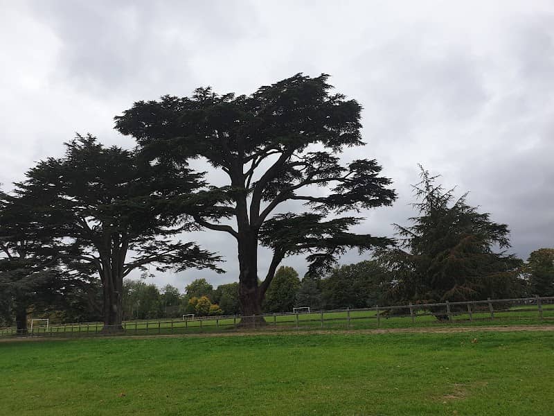 Hardwick Heath - Image 2