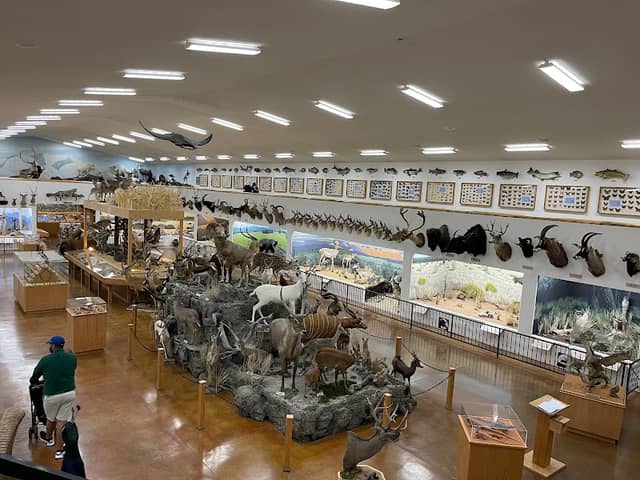 Bryce Wildlife Adventure - Image 1