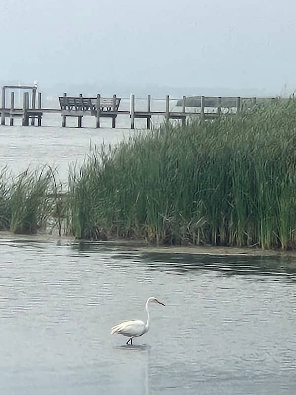 Boat Launch - Image 2