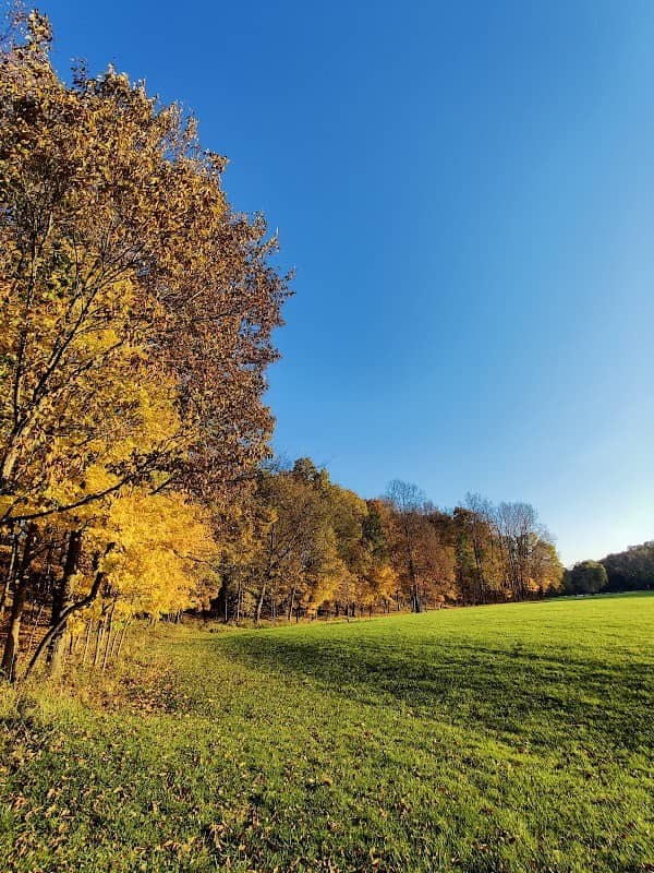 Mill Pond Park - Image 1