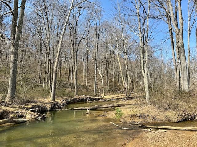 Morgan Run Natural Environment Area - Image 1