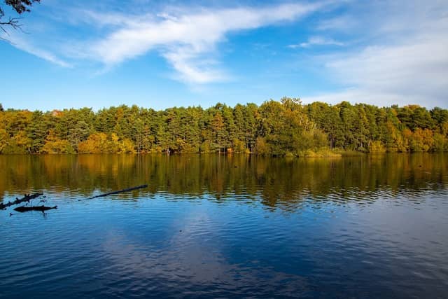 Heath Lake - Image 1