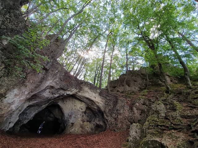 Petershöhle bei Hartenstein - Image 1