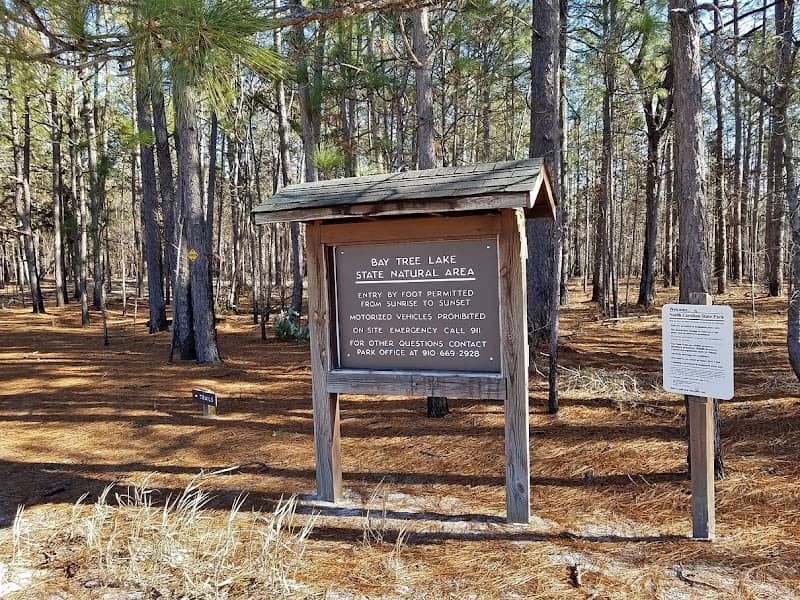 Bay Tree Lake State Park Parking Area - Image 1