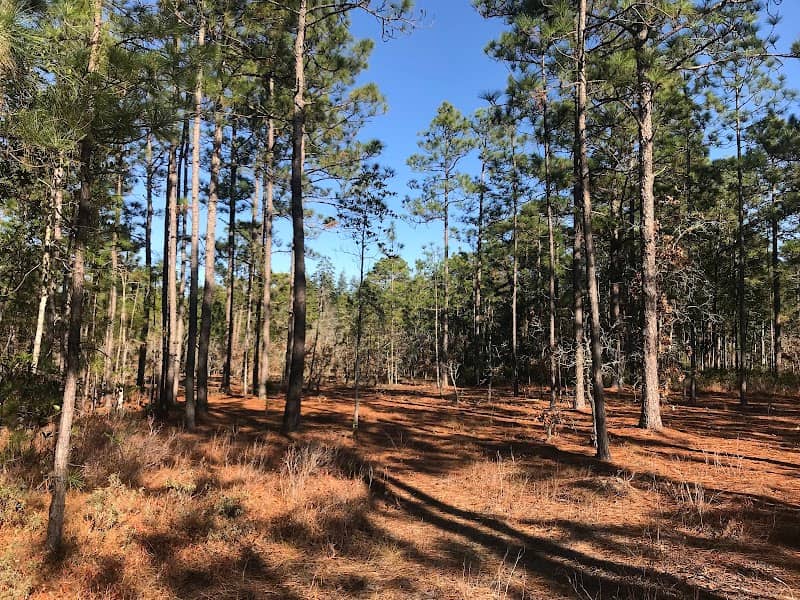 Bay Tree Lake State Park Parking Area - Image 2
