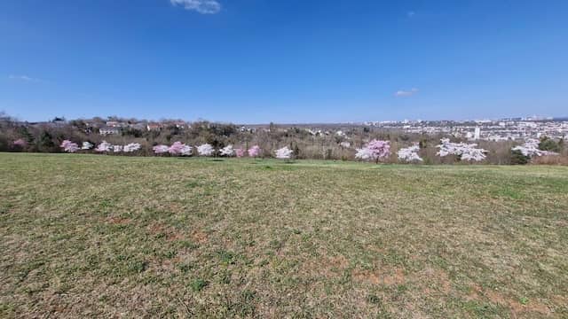 Point de vue sur Nancy - Image 1
