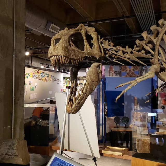 Asheville Museum of Science - Image 2