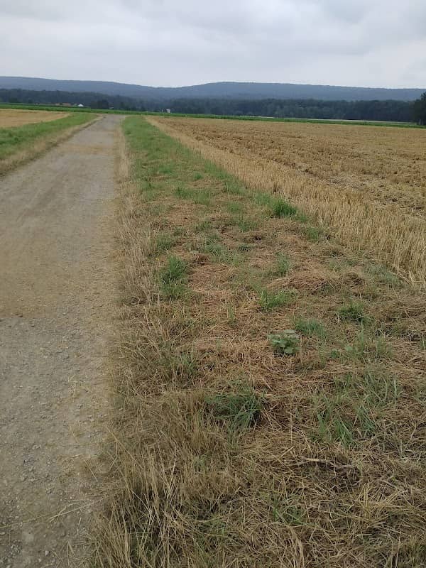 Dammweg Wennigsen - Image 1