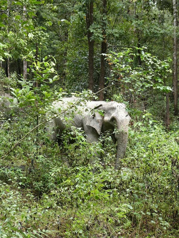 Wildlife Experience Tour - Image 1