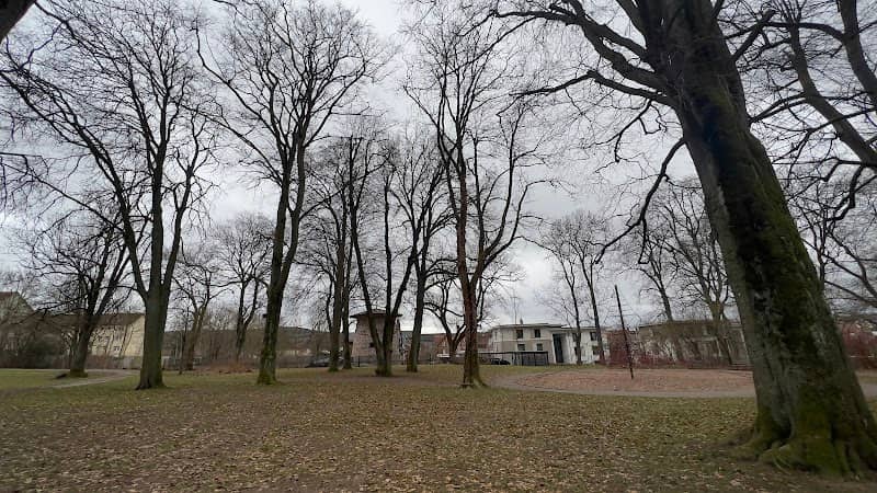 Stadt Park - Image 2