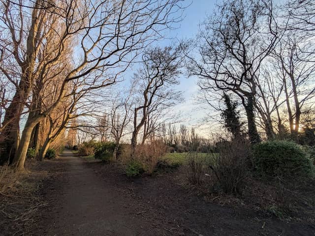 Victoria Park - Image 2