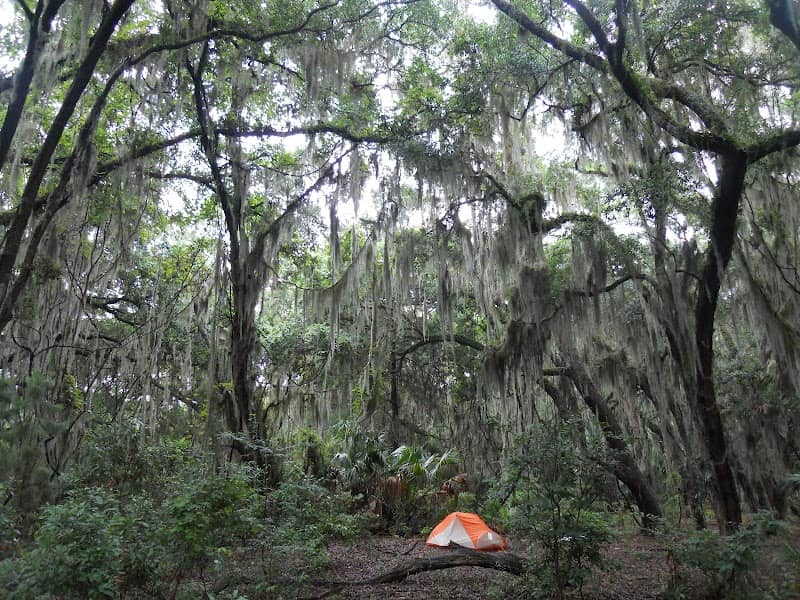 Hickory Hill Campground - Image 3