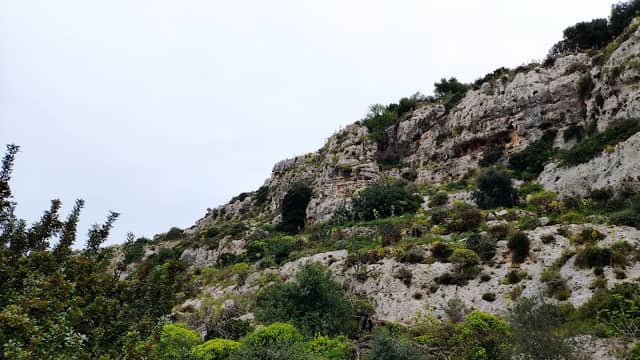 Mosta Valley - Image 2