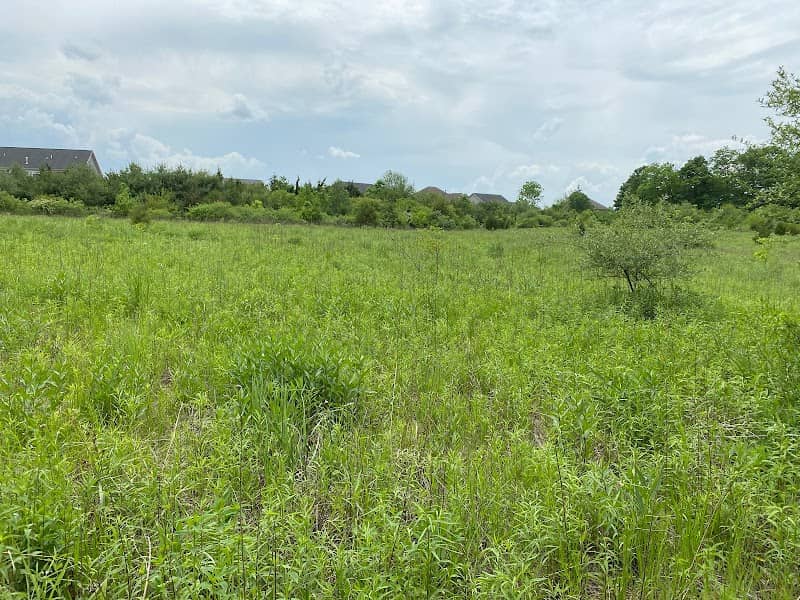Future home of Bear Creek Park - Image 2