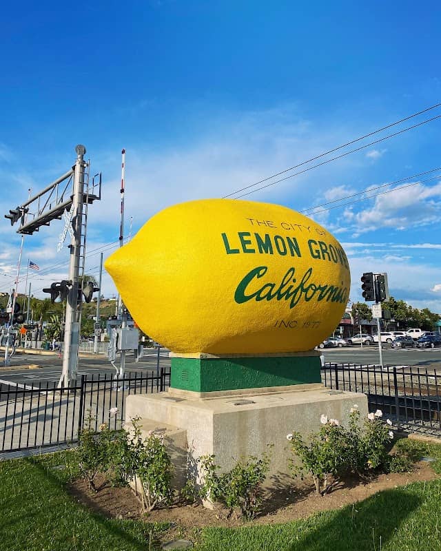 Lemon Grove Giant Lemon - Image 1