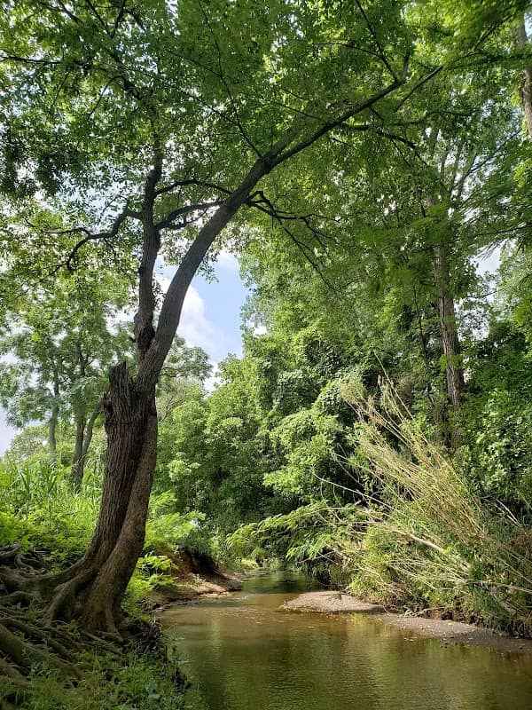 Banita Creek Park North and Dog Park - Image 3