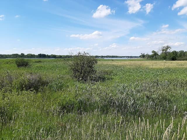 Elizabeth Lake Nature Preserve - Image 2