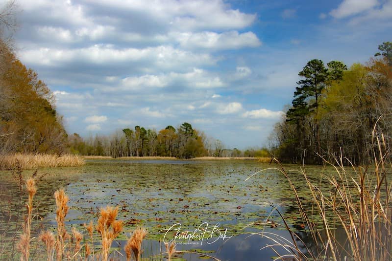 Santee National Wildlife Refuge - Cuddo Unit Entrance - Image 3