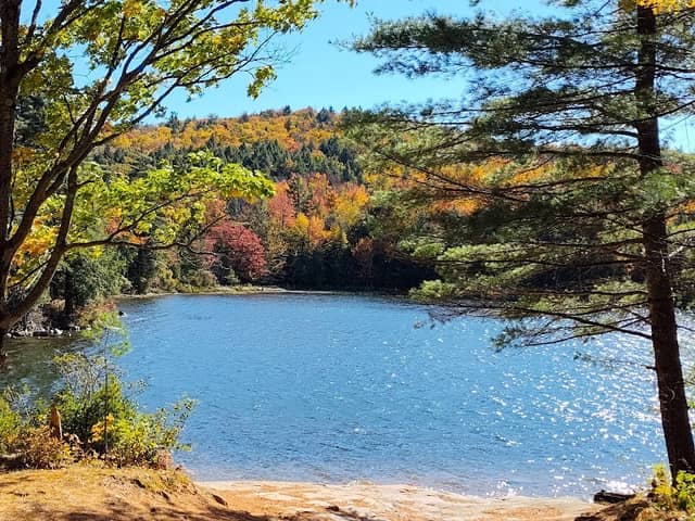 Jabe Pond Eastern Trail - Image 1