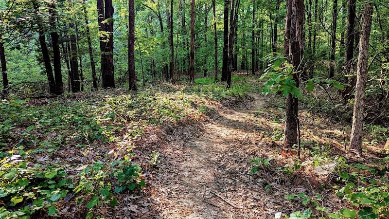 Area51 Mountain Bike Trail - Image 1