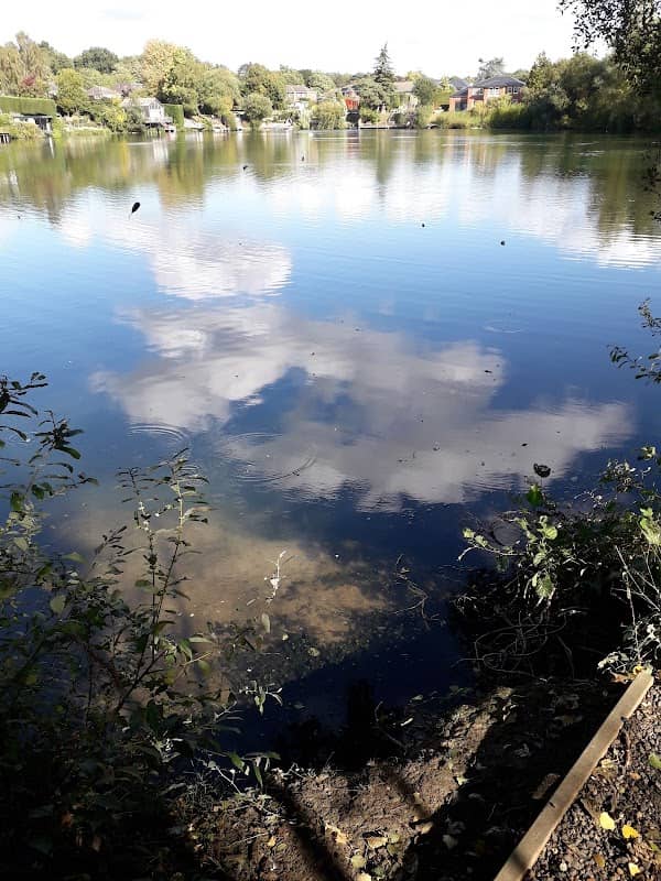 Watercut Copse - Image 2
