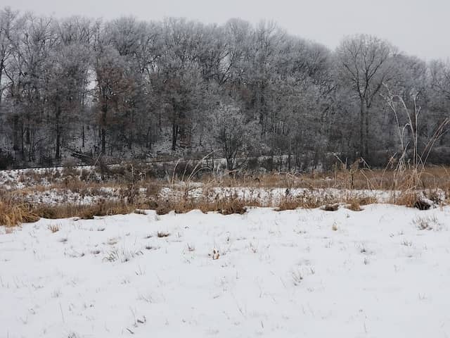 Kachina Court Conservation Area - Image 2