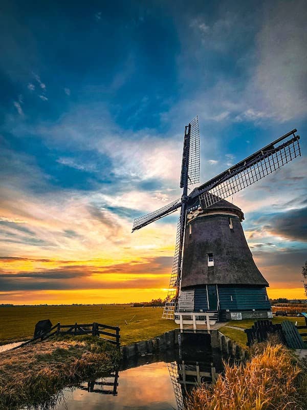 Tulip fields - Image 2