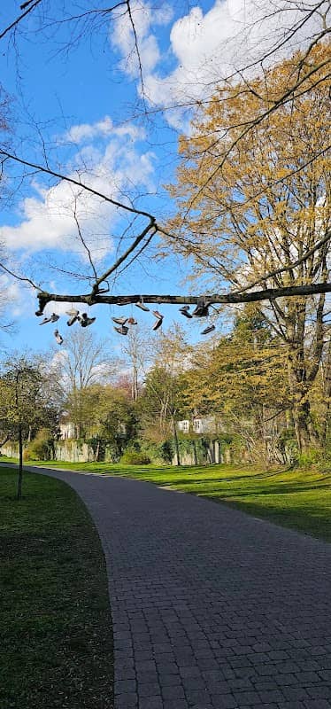 Schuhbaum - Image 1