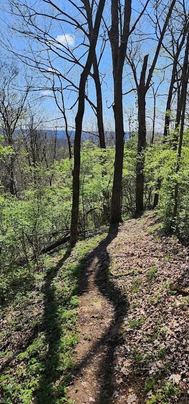 Fossil Trail, trailhead - Image 1