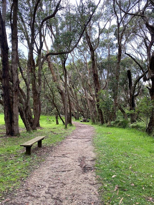 Lily Pond Bushland Reserve - Image 1
