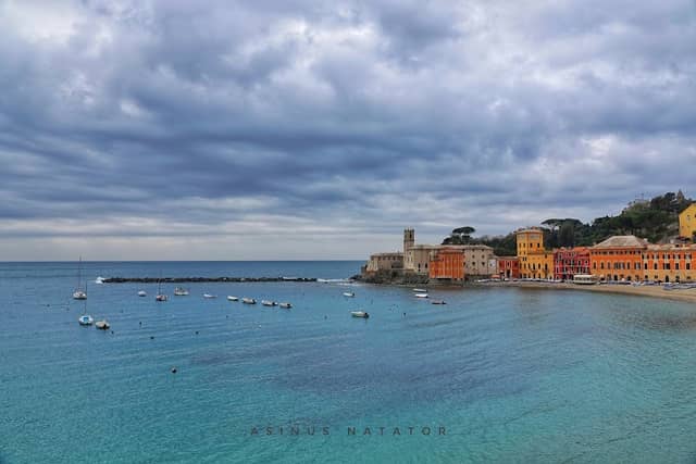 Museo Galleria Rizzi - Image 2